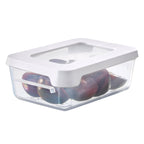 Airtight Food Storage Container 0.3 Litre